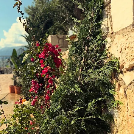 Filikur Stone 빌라 *